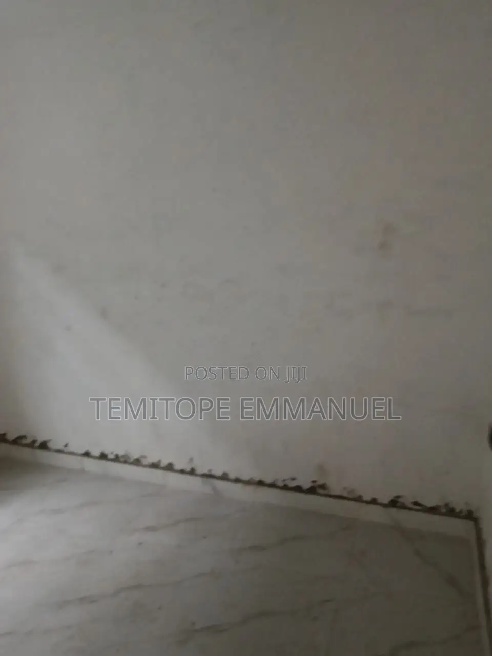Furnished 1bdrm Apartment in Cement for rent in Cement