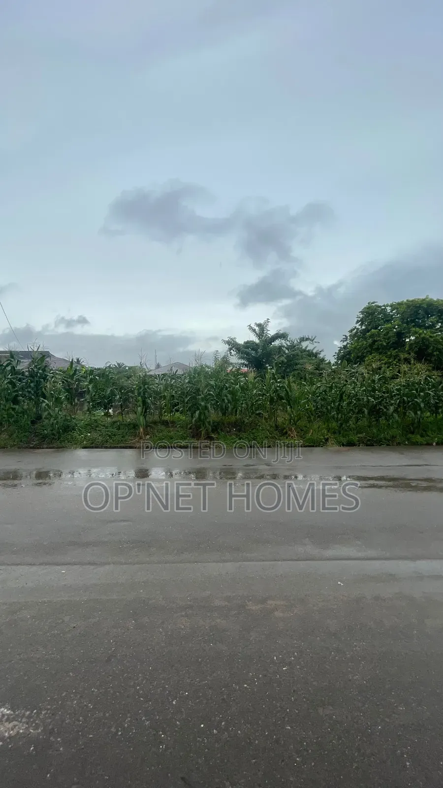 2 Plots of Land Facing a Tarred Road Is Available in Akure