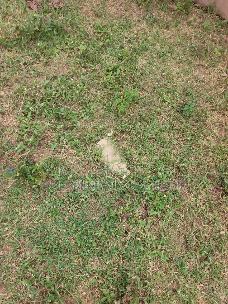 Size: 1,890 Sqm. Commercial Land for Sale by Gudu Market, Abuja. in Gudu