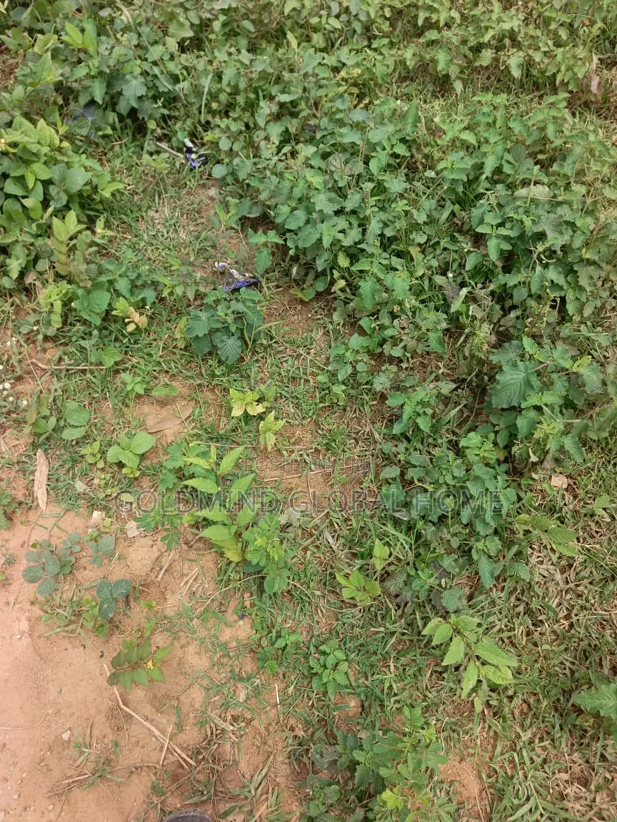 Size: 3700 Sqm. Commercial Land for Sale in Kubwa Fo1, Abuja. in Kubwa