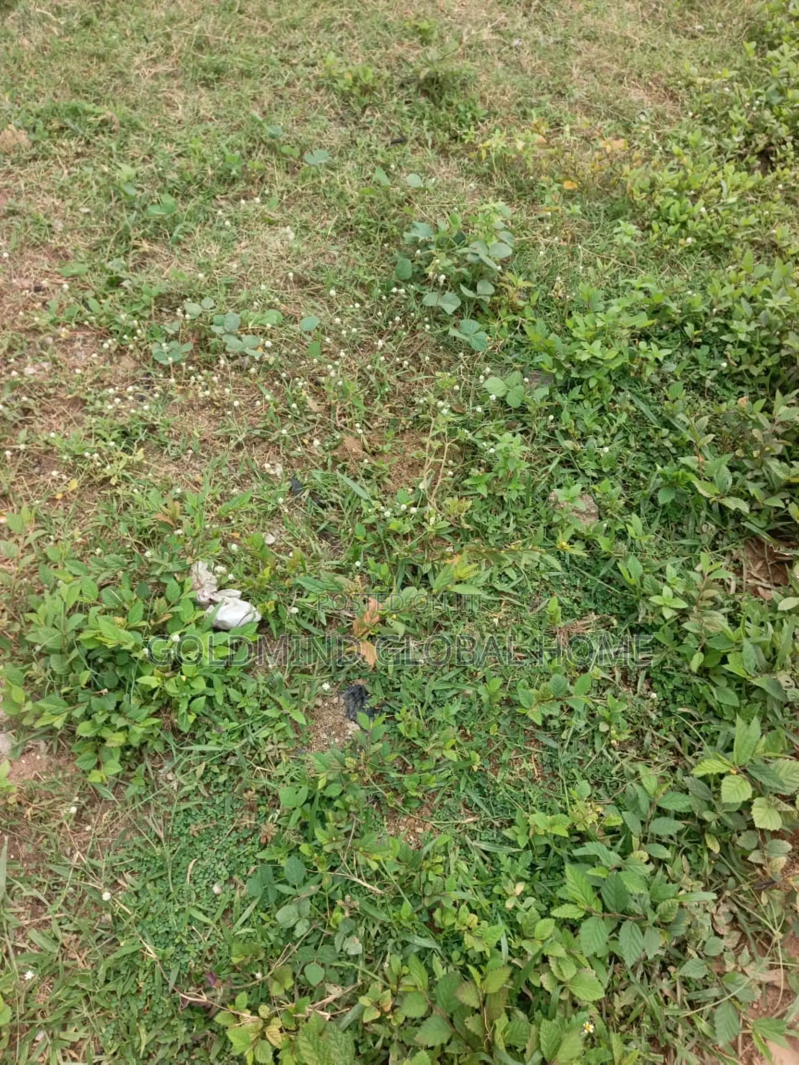 Size: 9,922 Sqm. Commercial Land for Sale in Gudu Abuja – Nigeria. in Gudu