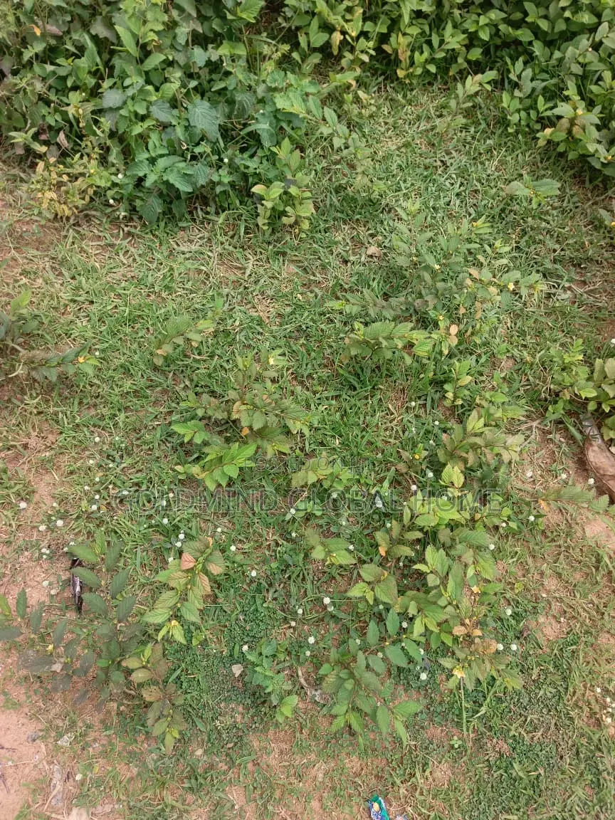 Size:8,700sqm. Hotel Land for Sale in Lifecamp Abuja. in Life Camp