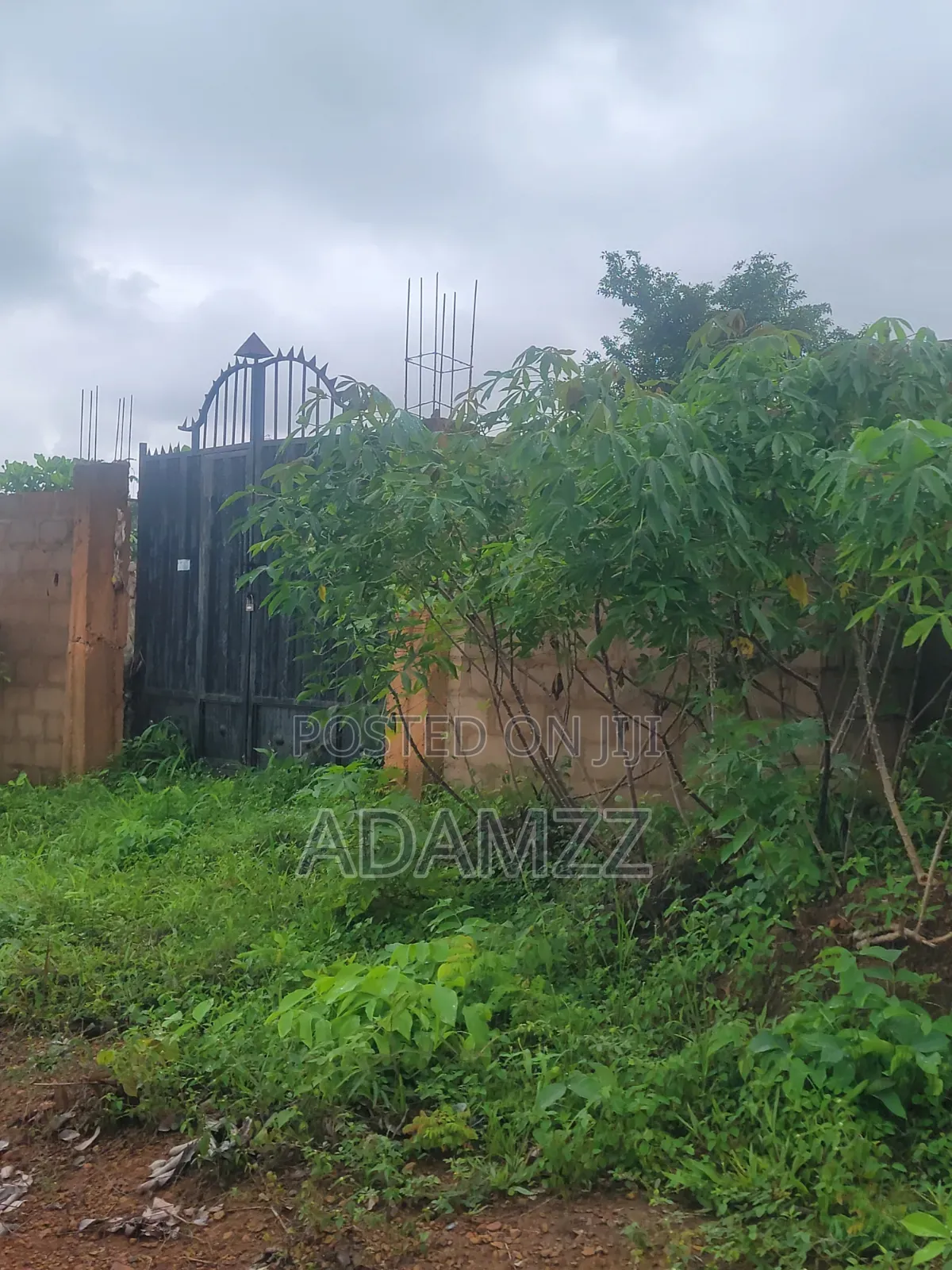 A Table Land in Transekulu in Enugu