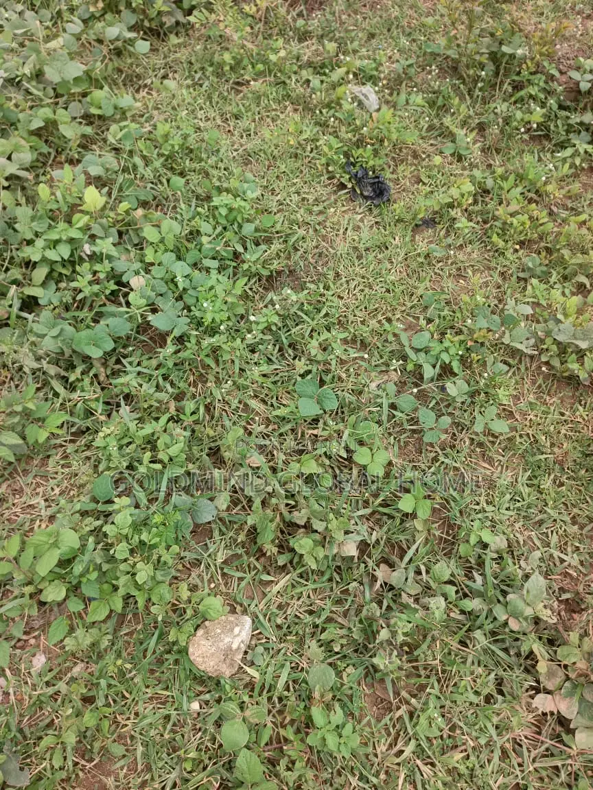 1668sqm. Residential Land for Sale in Kaura District. Abuja - Nigeria in Kaura