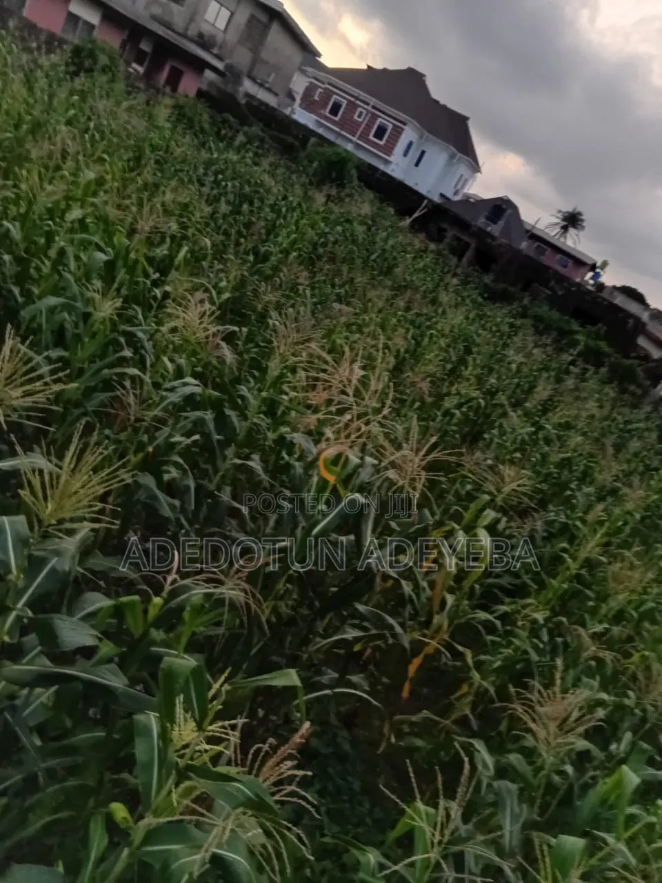 Acres of Land in Keji Crin Area Ibadan Ijebu Express in CHallenge / Ibadan