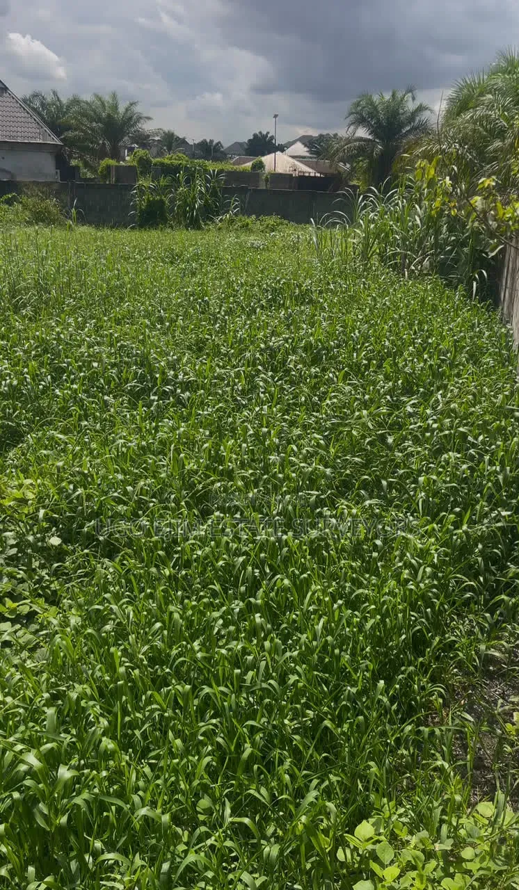 Fenced Two Plots of Land in Port-Harcourt