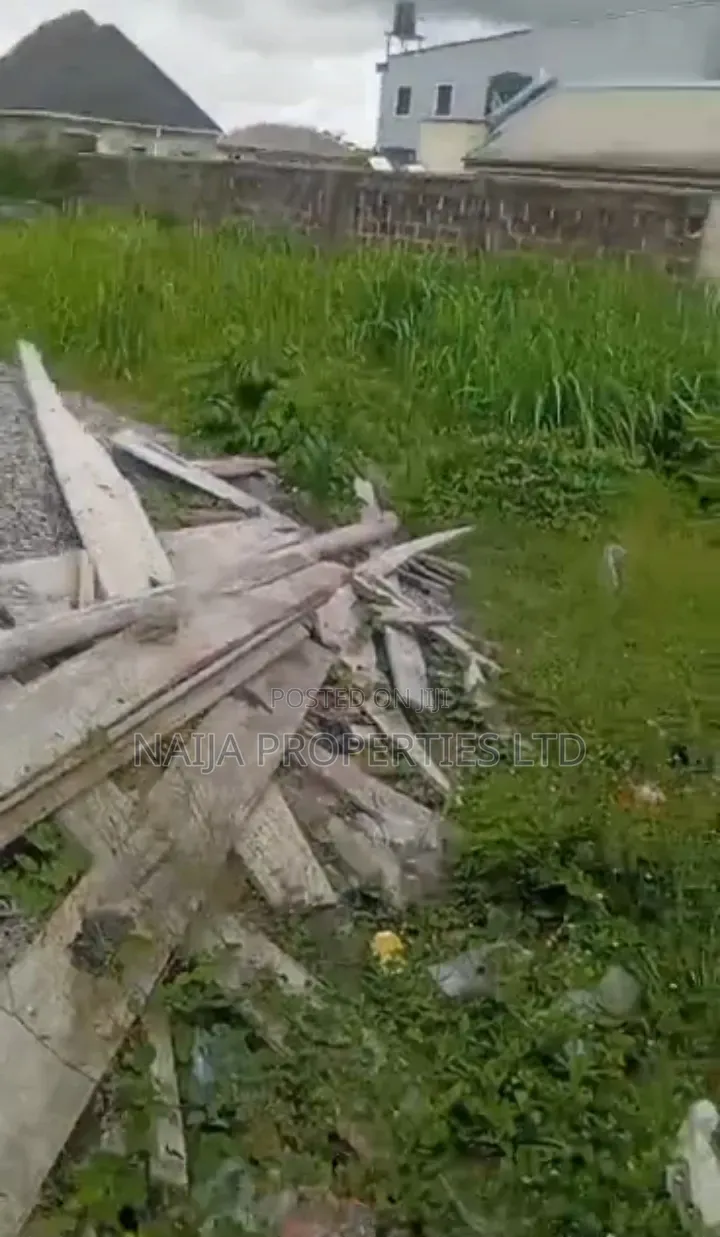 Full Plot of Land Directly on the Express at Baba Adisa,Ibeju for Sale in Eleko
