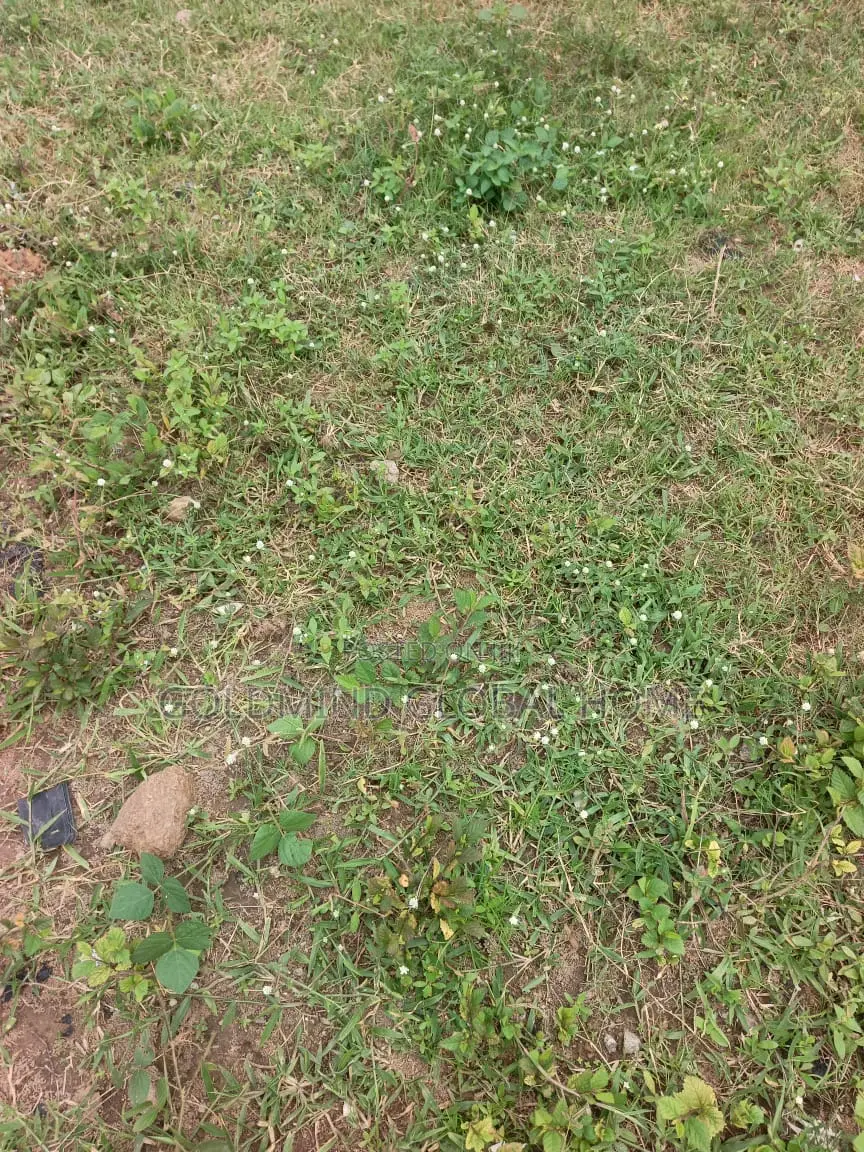 1.0 Hectare of Land Fence and Gated for Sale in Jabi. Abuja – Nigeria in Jabi