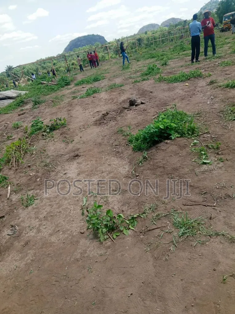 Survey Plan in Akodo