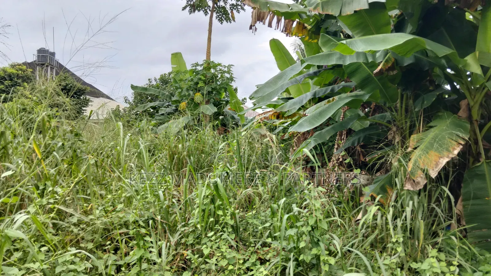 For Sale : 2 Plots on the Street, Winner's Chapel, Rumudomaya, Ph in Port-Harcourt