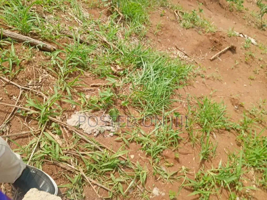 Survey Plan in Akodo