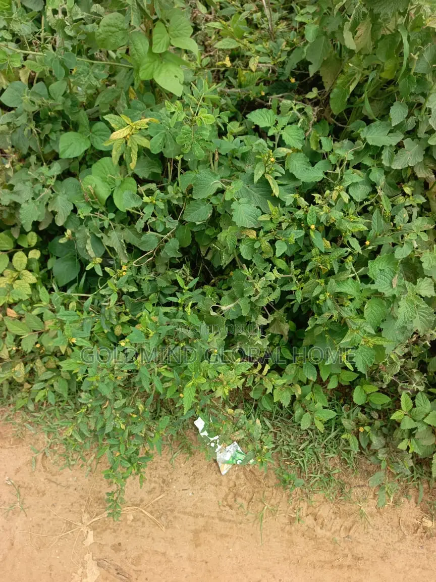 600sqm. 3bedroom Bungalow Estate Plot for Sale in Lugbe in Sabon Lugbe
