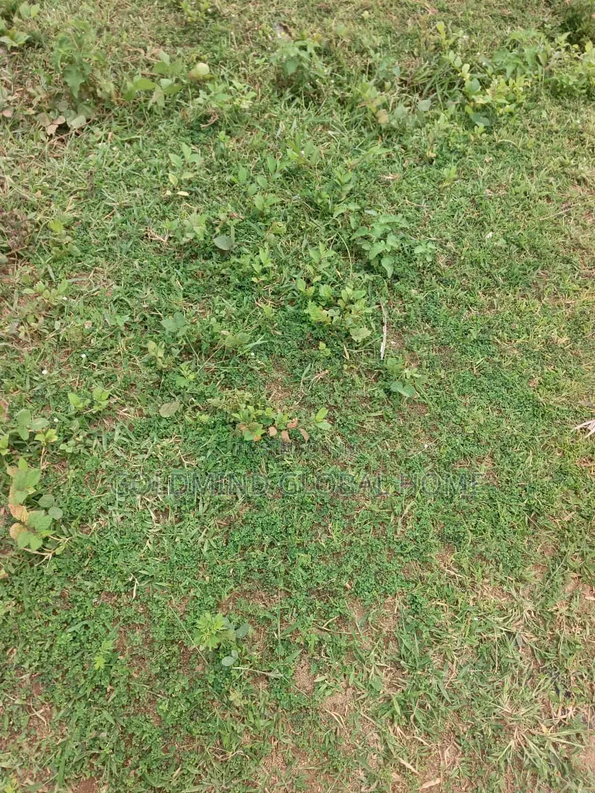 Distress Sales Estate Plot for Sale in Lugbe for 5 Bedroom Duplex in Sabon Lugbe