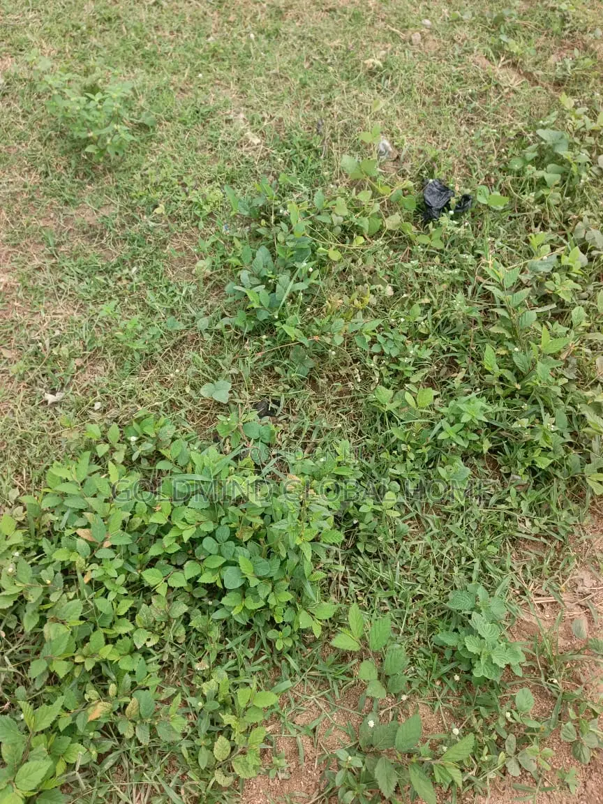 Estate Plot for Duplex Sale in Lokogoma in Lokogoma