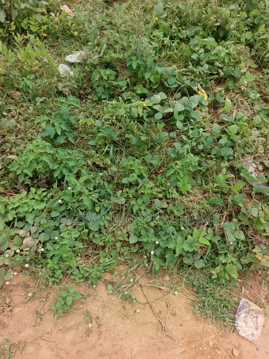 Estate Plot for Duplex Sale in Lokogoma. 750SQM in Lokogoma