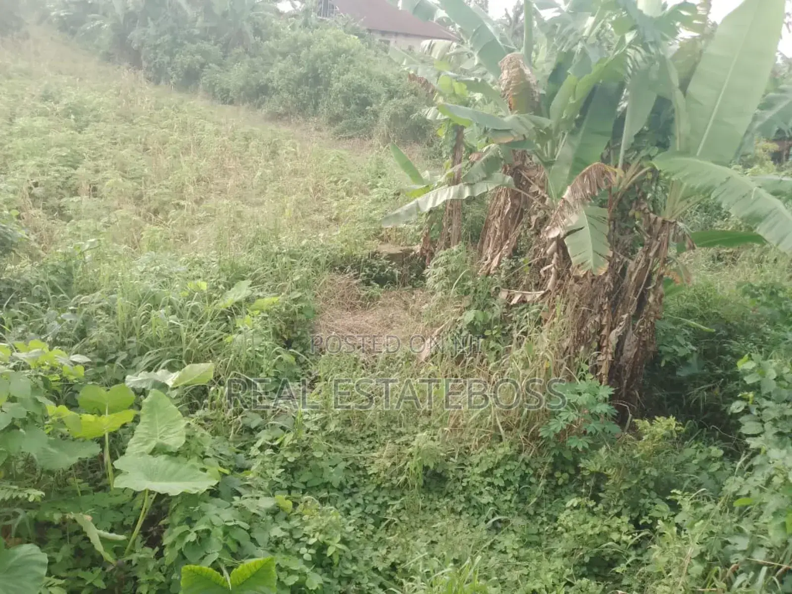 Land Fore Sale in Uyo