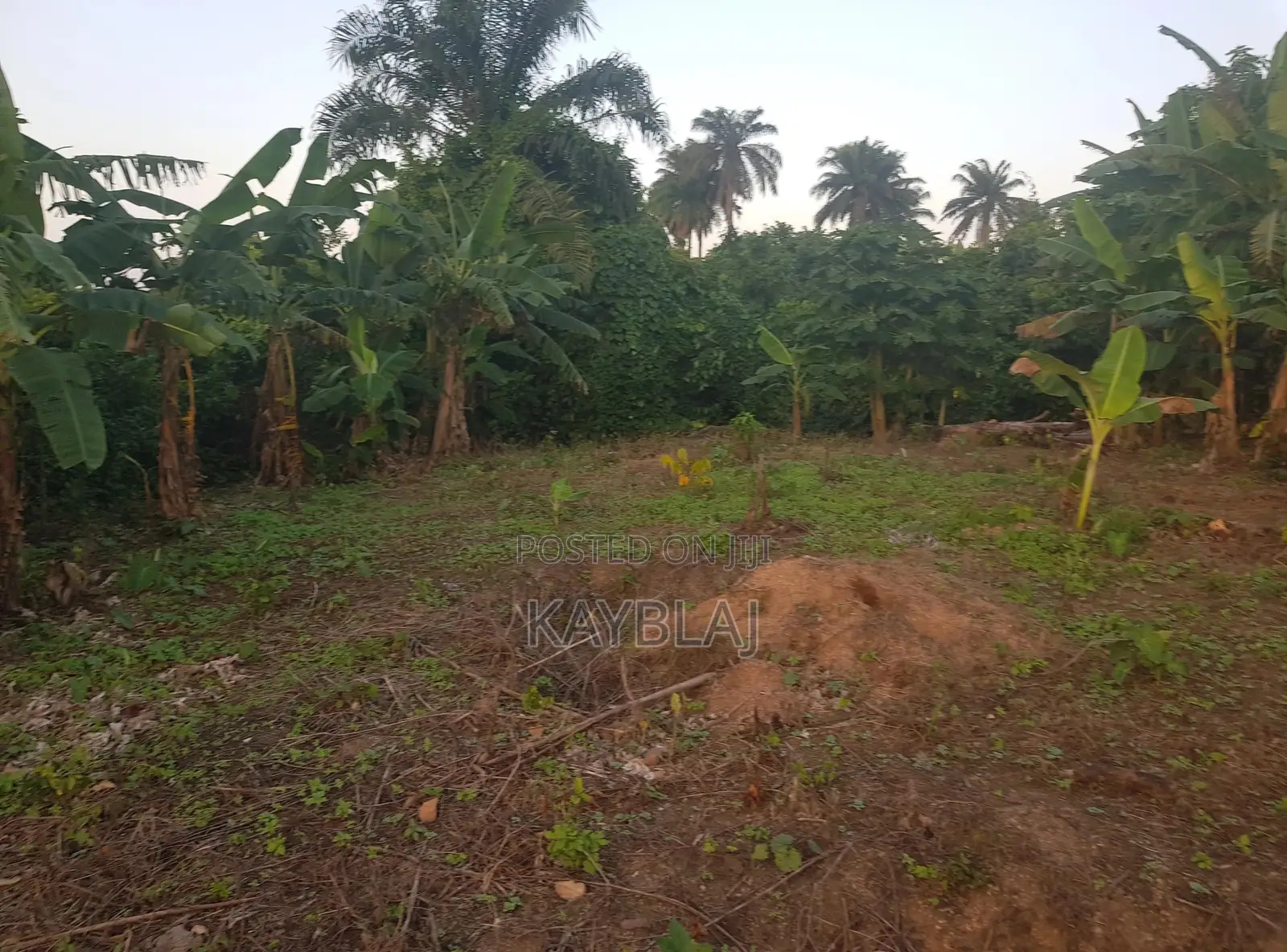 A Plot of Land for Sell at Prime Area in Fashina, Ile-Ife. in Ife