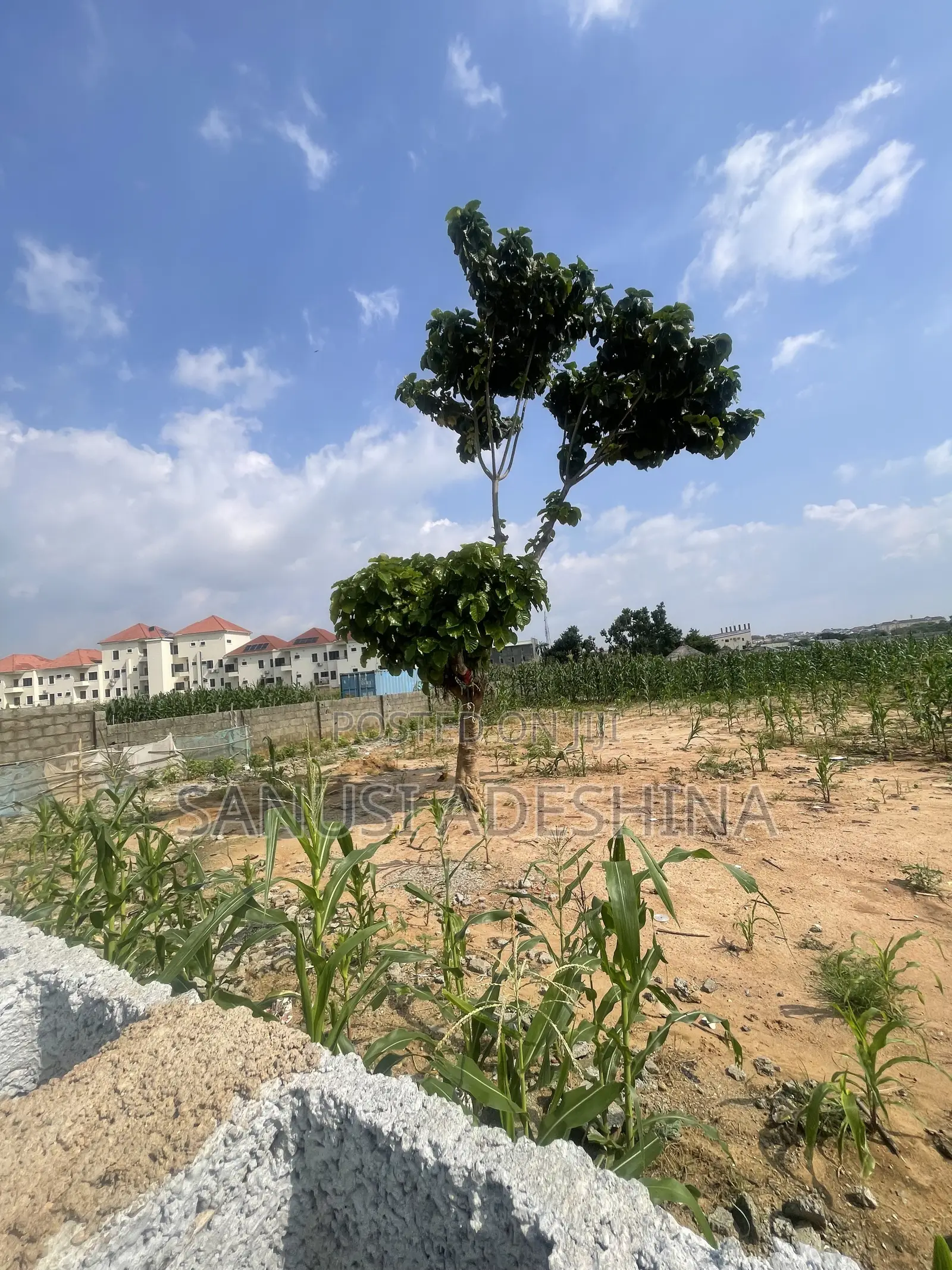 2 Hectares of Residential Land at Jahi Gilmore Abuja Area in Jahi