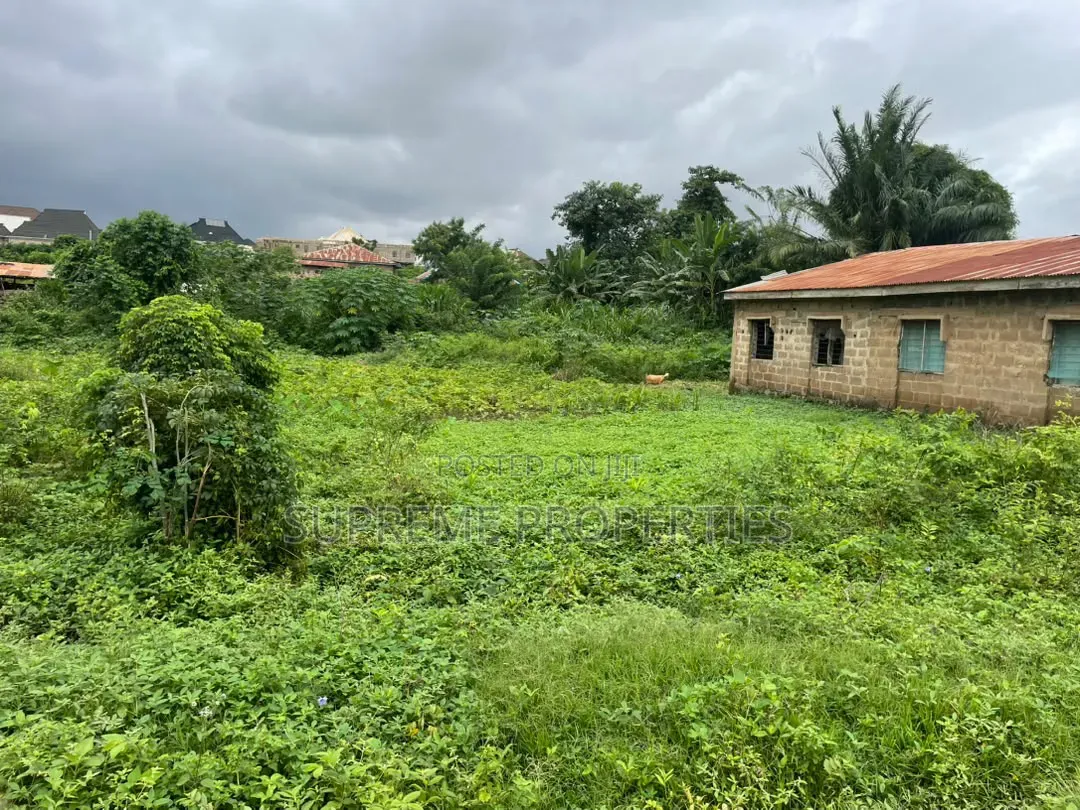 2 Plots of Land in Kute - Akala Akobo in Ibadan