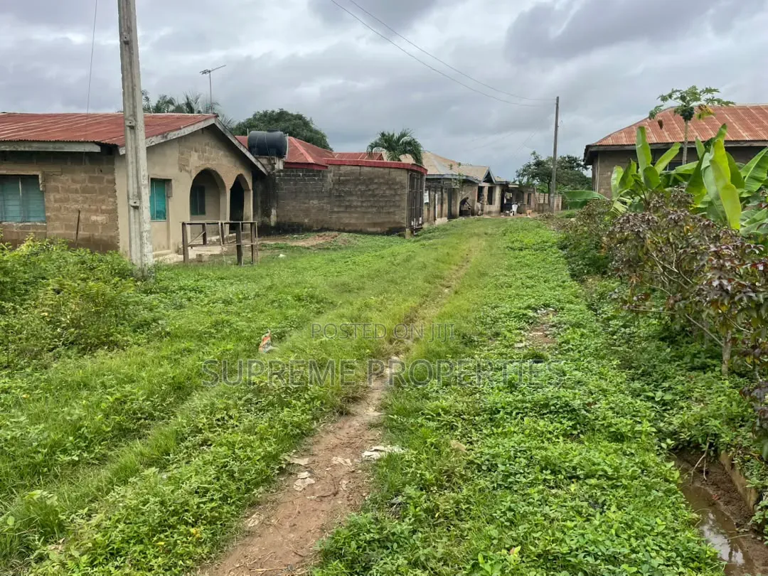 2 Plots of Land in Kute - Akala Akobo in Ibadan