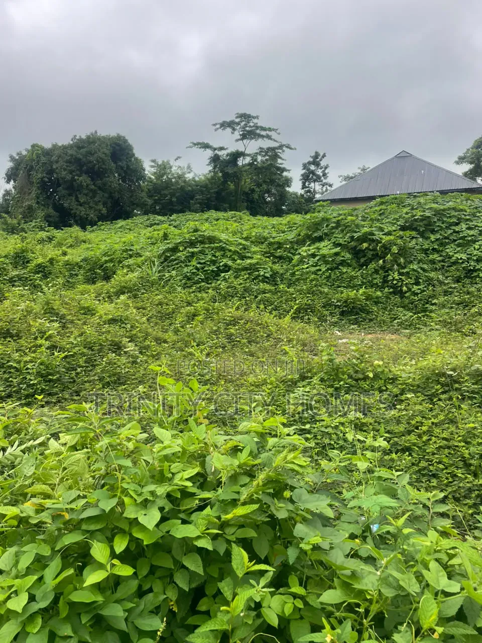 2 Acres of Land at Oui, Ile-Ife in Ife