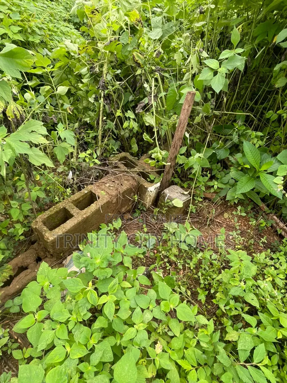 2 Acres of Land at Oui, Ile-Ife in Ife