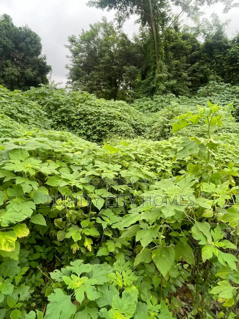 3plots of Land Available at Parakin Estate Ile-Ife in Ife