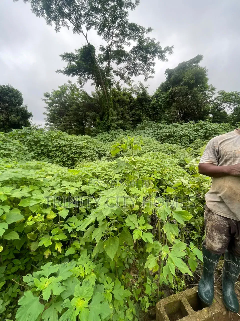 A Plot of Land Available at Parakin Estate Ile-Ife in Ife
