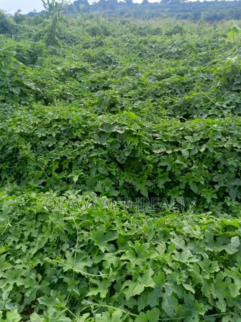4,658sqm Mixed-Use Land at Jericho GRA in Jericho