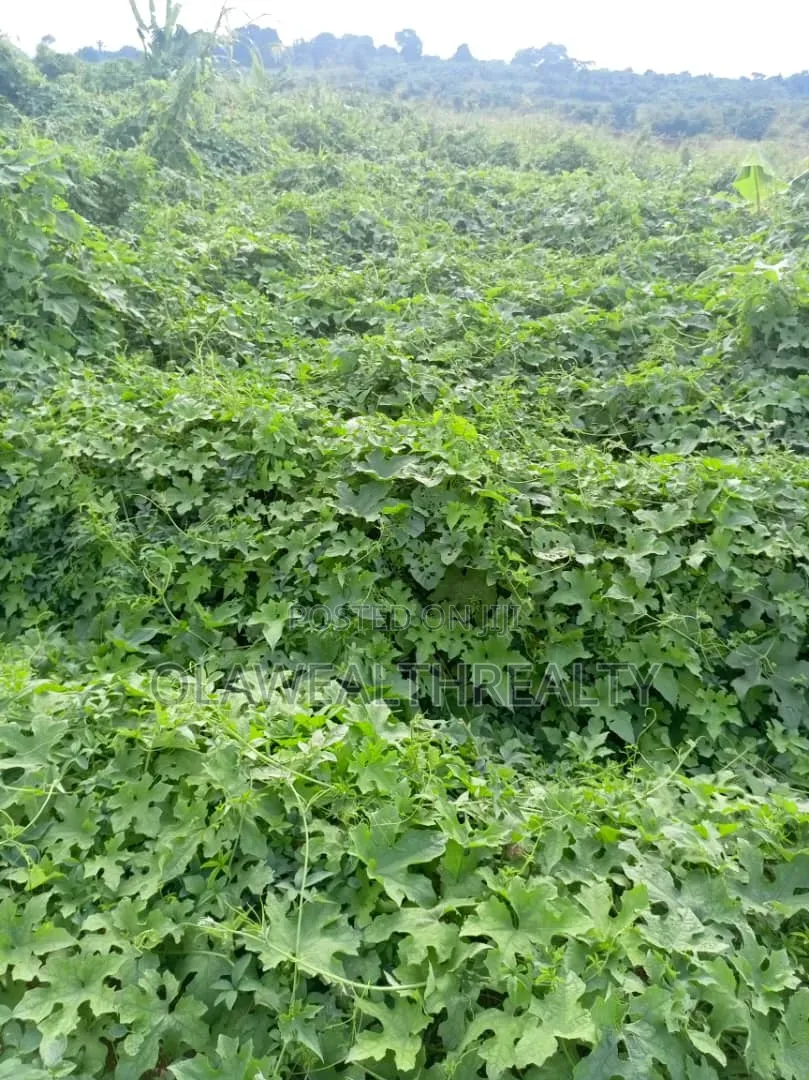 1,250sqm Mixed-Use Land at Jericho GRA in Jericho