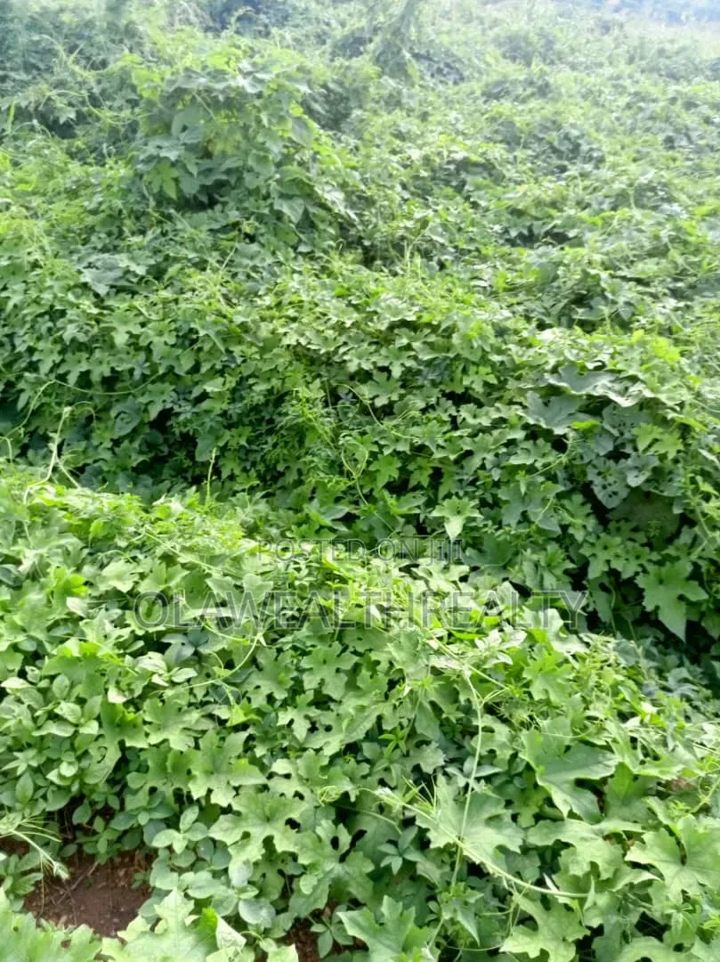 1,250sqm Mixed-Use Land at Jericho GRA in Jericho