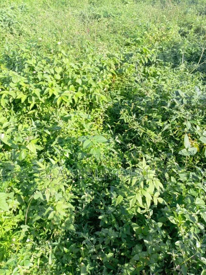 3,560sqm Residential Land at Iyaganku in Iyanganku