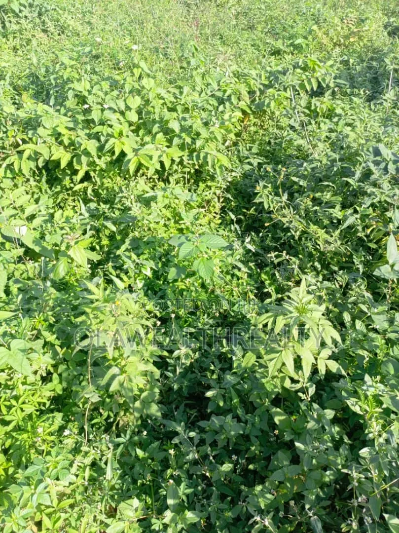 3,560sqm Residential Land at Iyaganku in Iyanganku