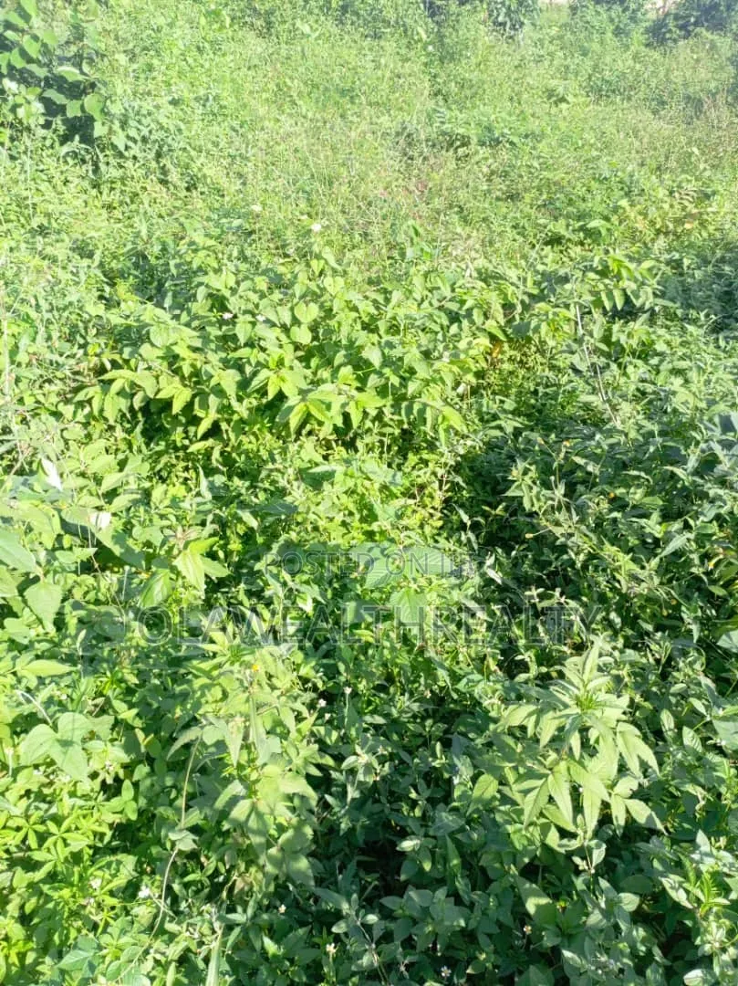 3,500sqm Mixed-Use Land at AGODI GRA in Agodi