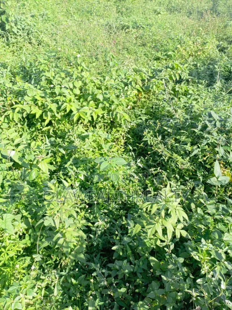 3,500sqm Mixed-Use Land at AGODI GRA in Agodi