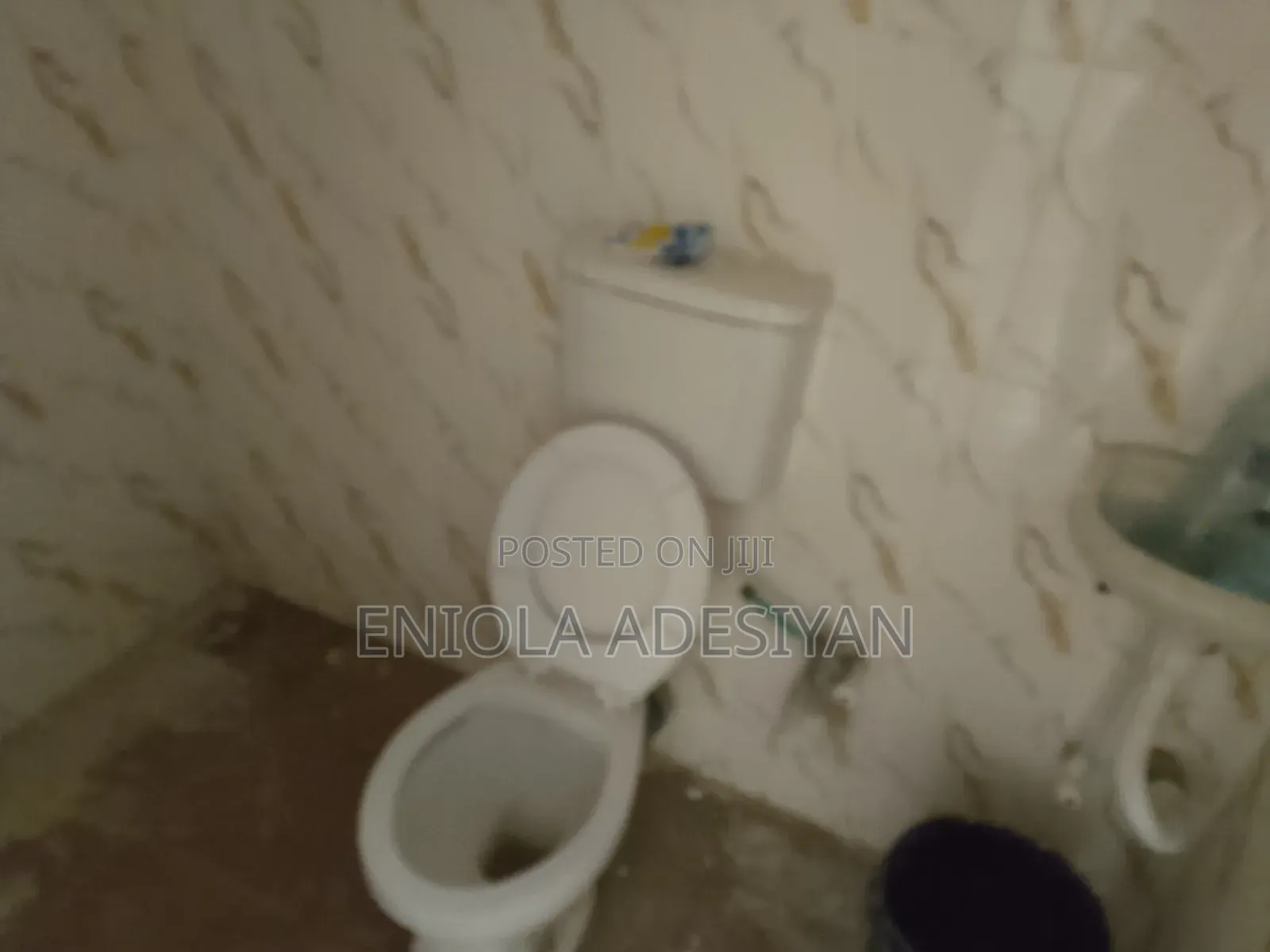 1bdrm Block of Flats in Igbolomu, Agric for rent in Agric