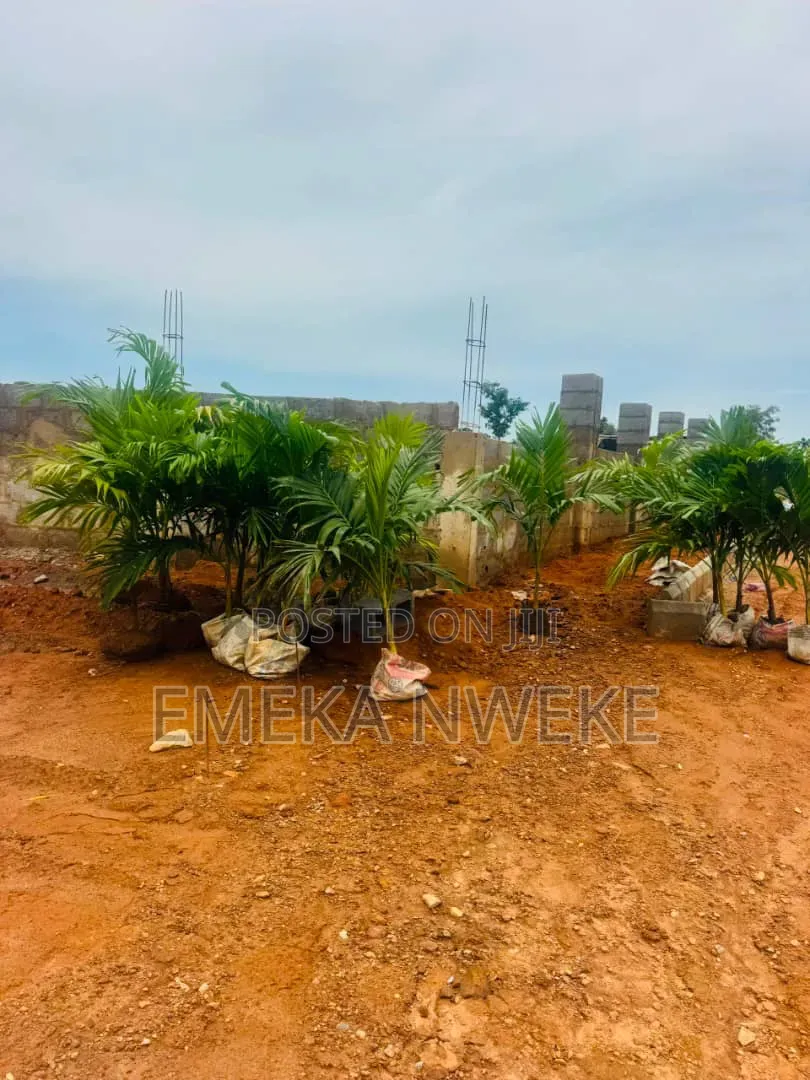 Estate Land for Sale in APO WASSA in Wasa
