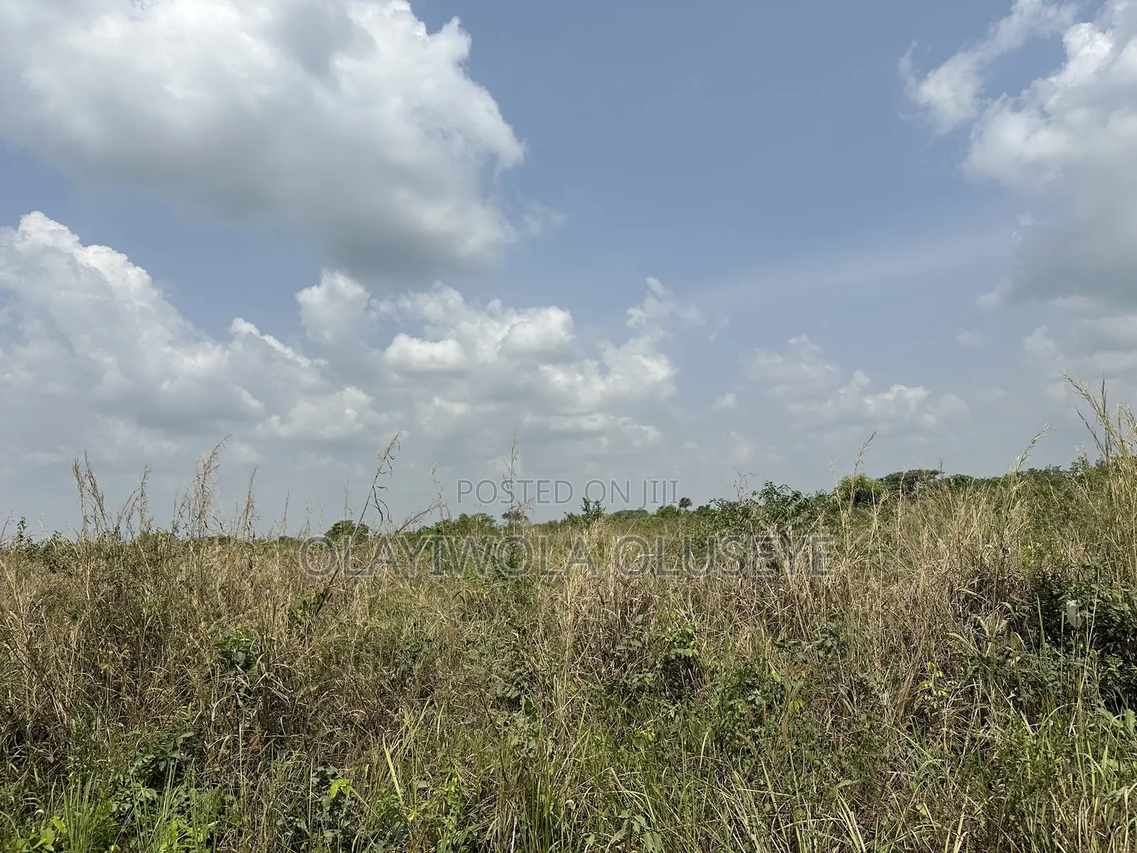 Ijebu Farmland for Sale. in Ijebu
