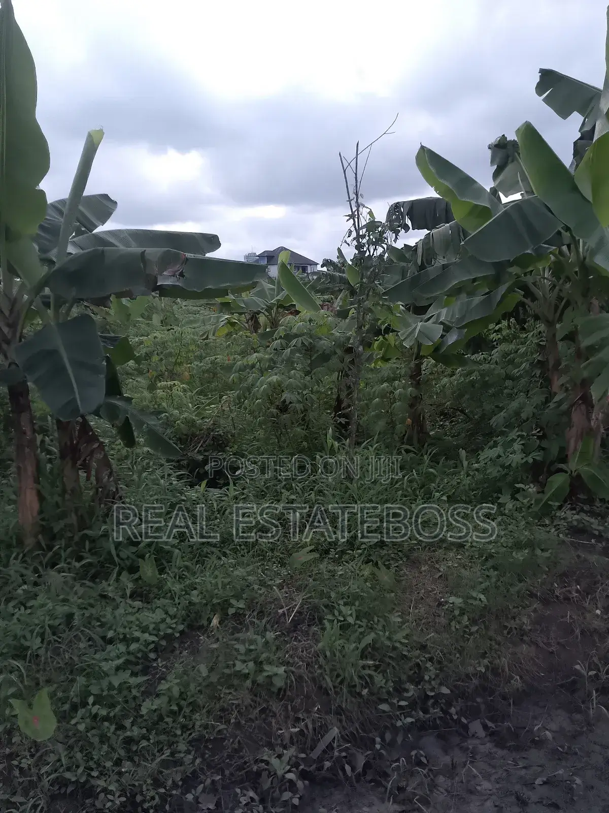 Land Sales in Uyo