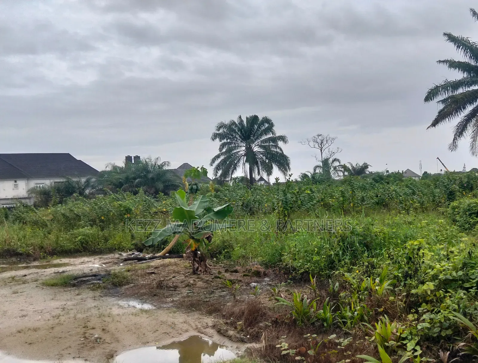 For Sale : 4 Plots at Cocaine Estate, Port Harcourt in New Layout