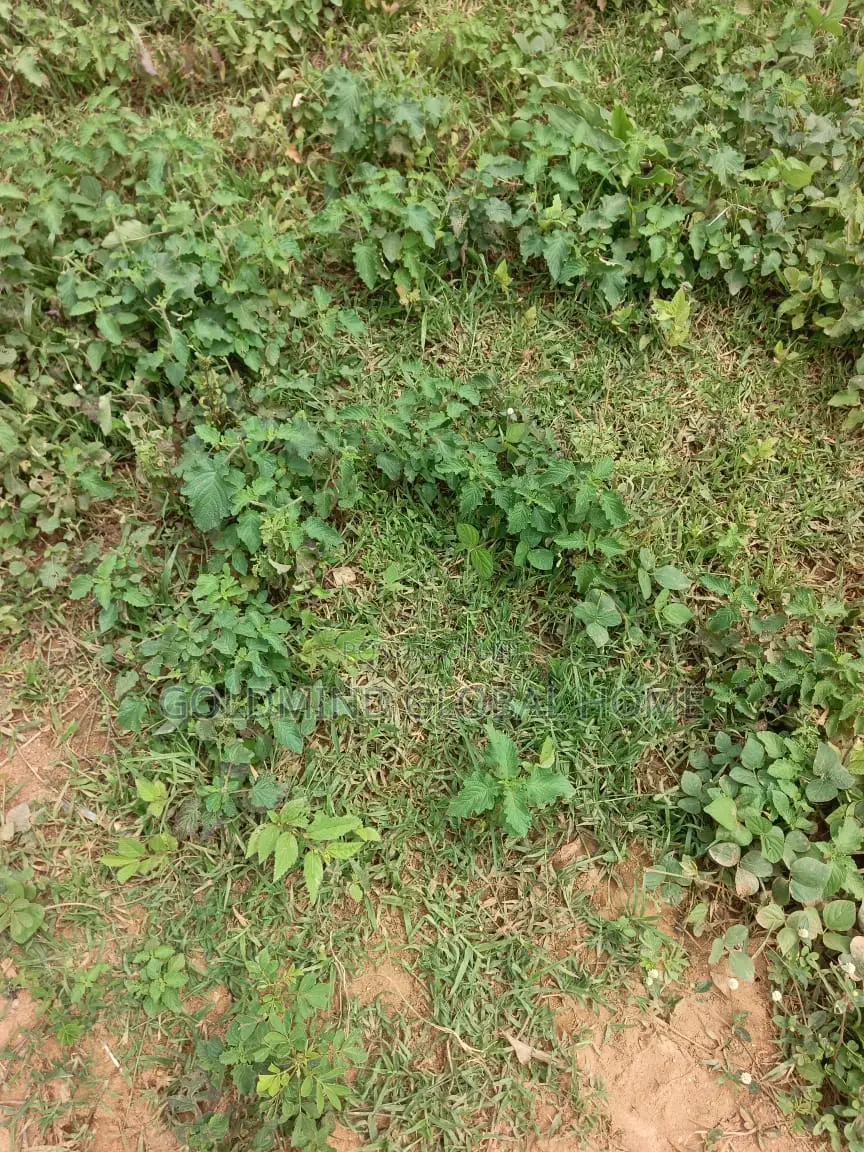 Estate Plot to Build 3bedroom Bungalow for Sale in Apo in Apo Resettlement