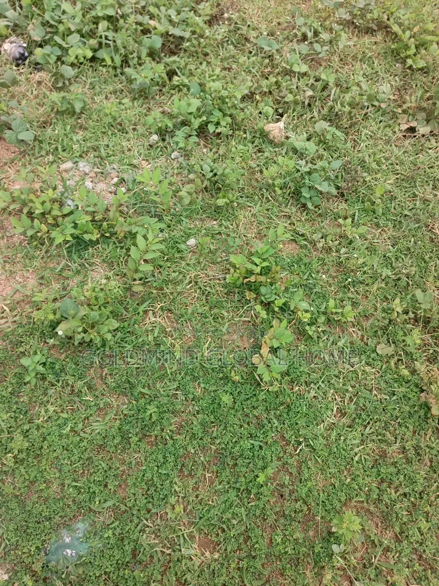 Promo Promo Estate Plot for Duplex for Sale in Apo in Apo Resettlement