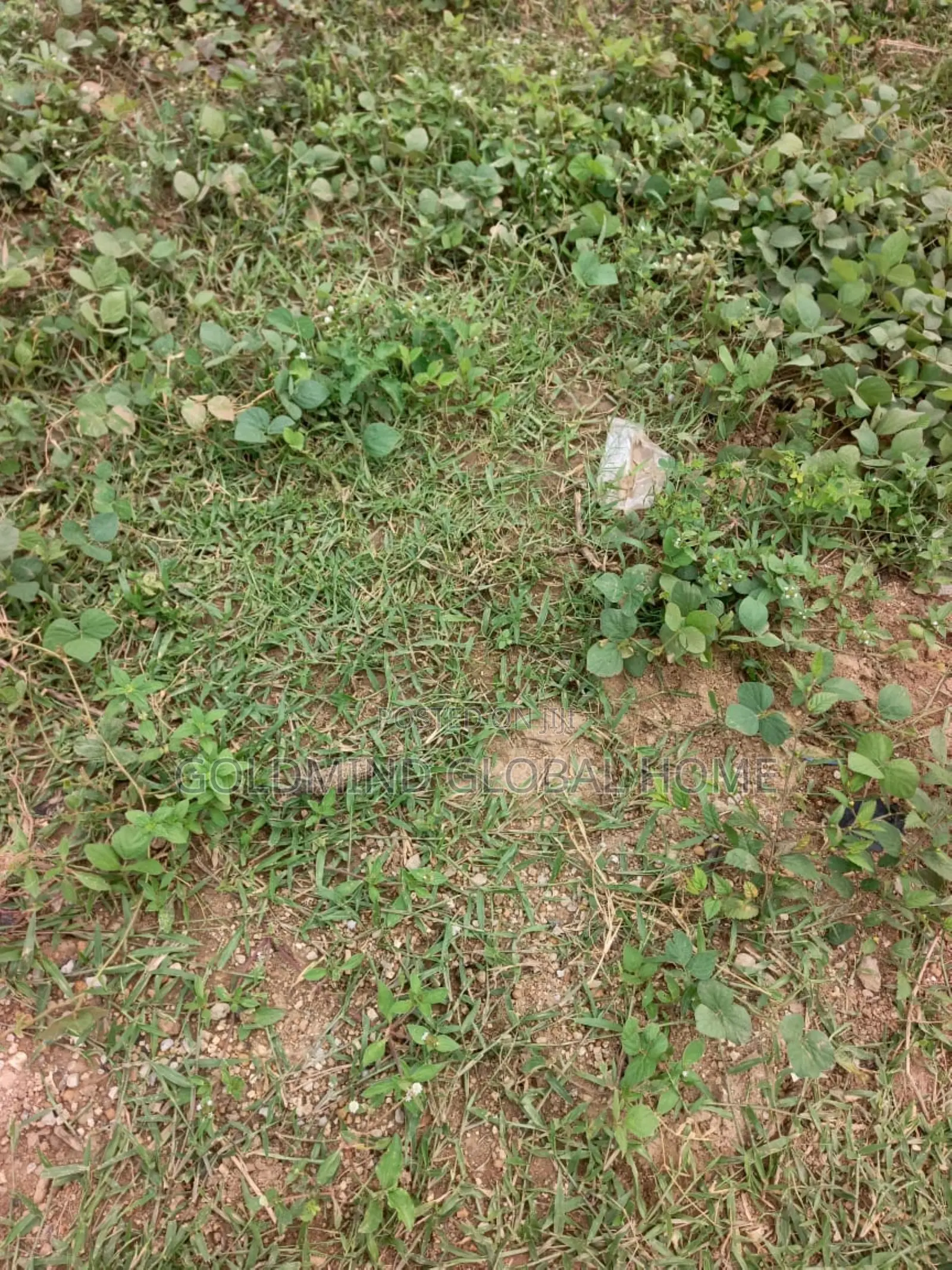 Distress Sale Estate Plot in Galadimawa for Sale in Galadimawa