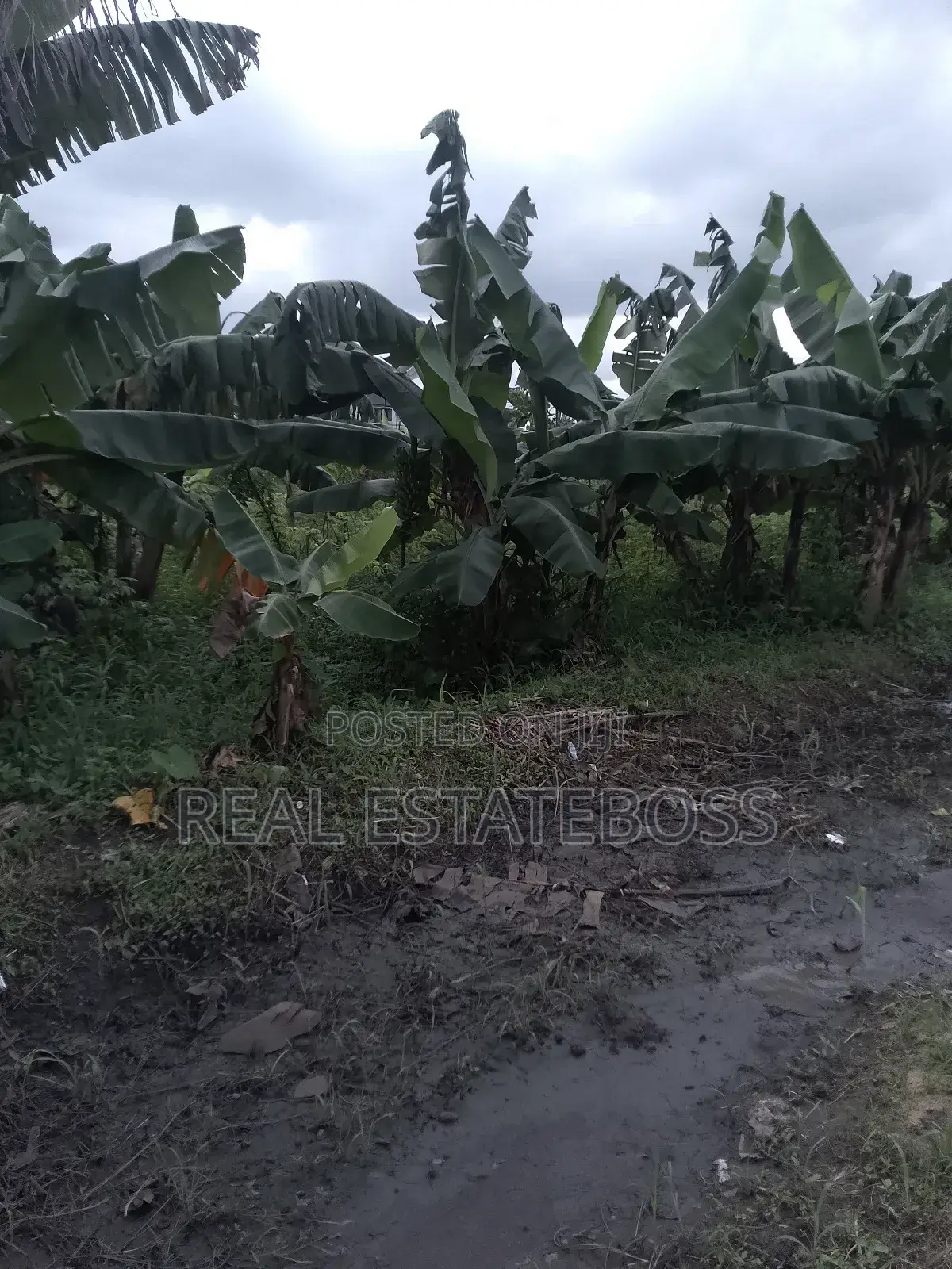 Land for Sale in Uyo