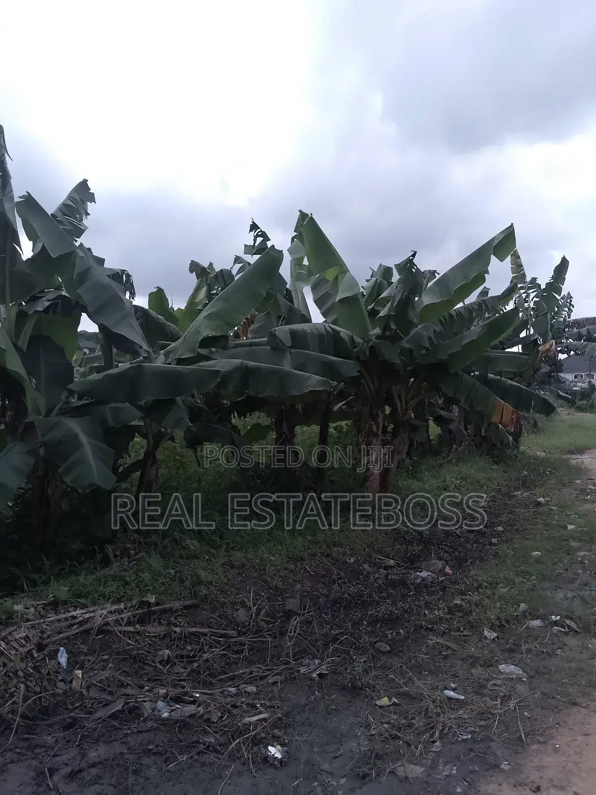 Land for Sale in Uyo