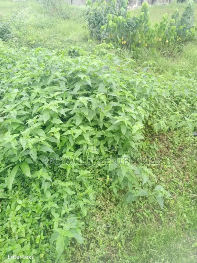 900squre Meter Land Available in Mayfair Garden Estate Ibeju Lekki. in Awoyaya