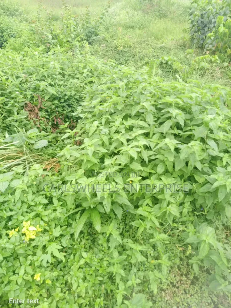 450 Square Meter Land Available in Mayfair Garden Estate Ibeju Lekki. in Awoyaya
