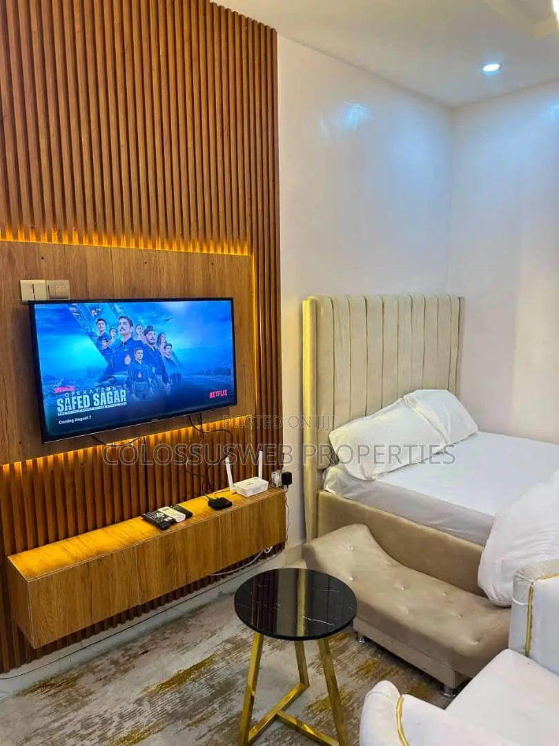 Furnished Studio Apartment in Ilupeju Industrial for rent in Ilupeju