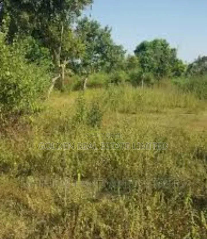 2 and Half Plots Land for Sale Behind Progress Fm Along Iworoko Road in Ado Ekiti