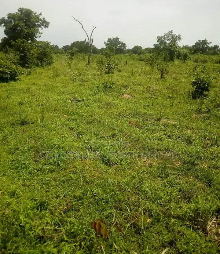 2 and Half Plots Land for Sale Behind Progress Fm Along Iworoko Road in Ado Ekiti